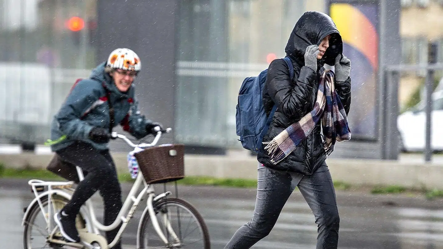 Blæst og regn på Randersvej i Aarhus, tirsdag 23. oktober 2018.. (Foto: Henning Bagger/Ritzau Scanpix)