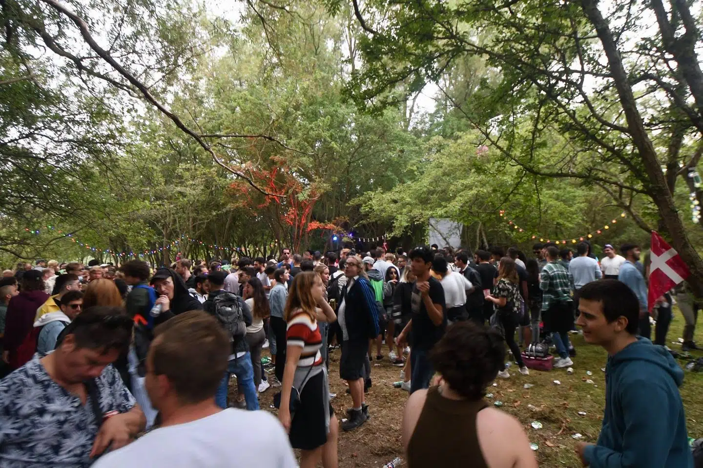 Sådan så det ud, da Niels Lyksted stod i Amager Fælled klokken 5.30 og fandt sit kamera frem