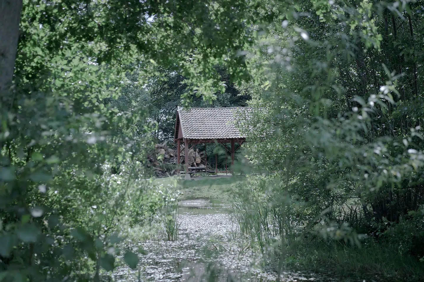 Det groveste overgreb fandt sted 25. oktober 2018 i en skov i Dianalund. Her mødtes idrætslæreren med den dengang 13-årige pige ved Den Røde Lade, som er kendt af alle, der bor i Dianalund. Herefter gik de ind i skoven, hvor han fikserede hende med håndjern, halsbånd og halsrem, inden han forgreb sig på hende analt. Samme dag havde idrætslæreren medvirket i programmet »P1 Debat«, hvor han debatterede folkeskolens miljø. Han mente, at lærere udsættes for vold af elever.