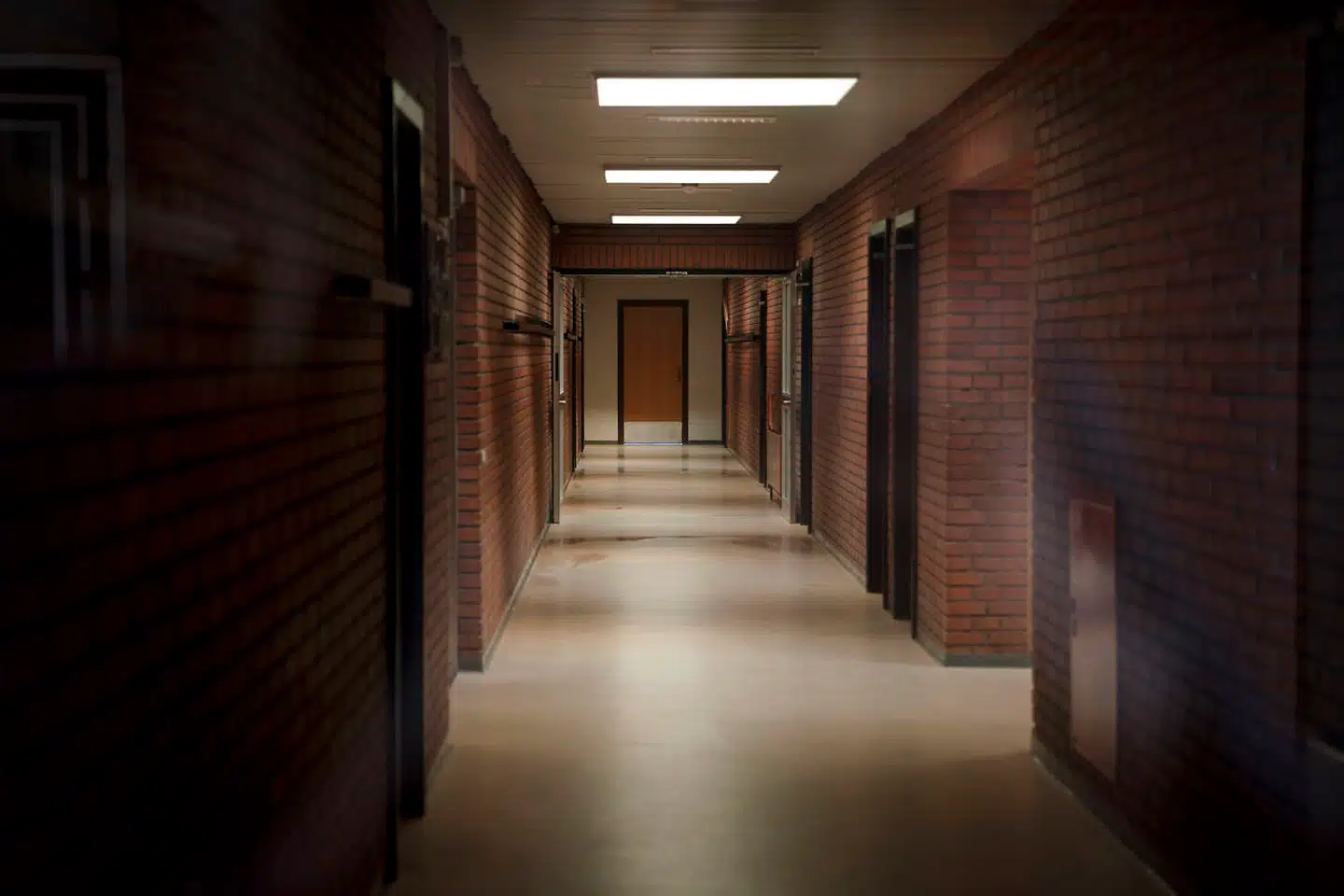 En skole i Dianalund dannede tilbage i 2018 ramme om en idrætslærers overgreb på en dengang 13-årig pige. Overgrebene fandt sted i løbet af fem måneder, hvor idrætslæren i samme periode også blufærdighedskrænkede syv andre piger fra skolen. Det fremgår af vidneudsagn fra byretssagen, der blev ført i Retten i Næstved i slutningen af 2019, at både lærere, elever og forældre forsøgte at slå alarm over idrætslærerens adfærd.