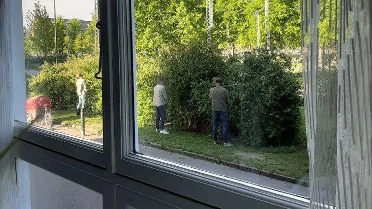 På varme og travle dage i Nørrebroparken kan Ulla opleve et halvt hundrede toiletbesøg foran sit vindue.