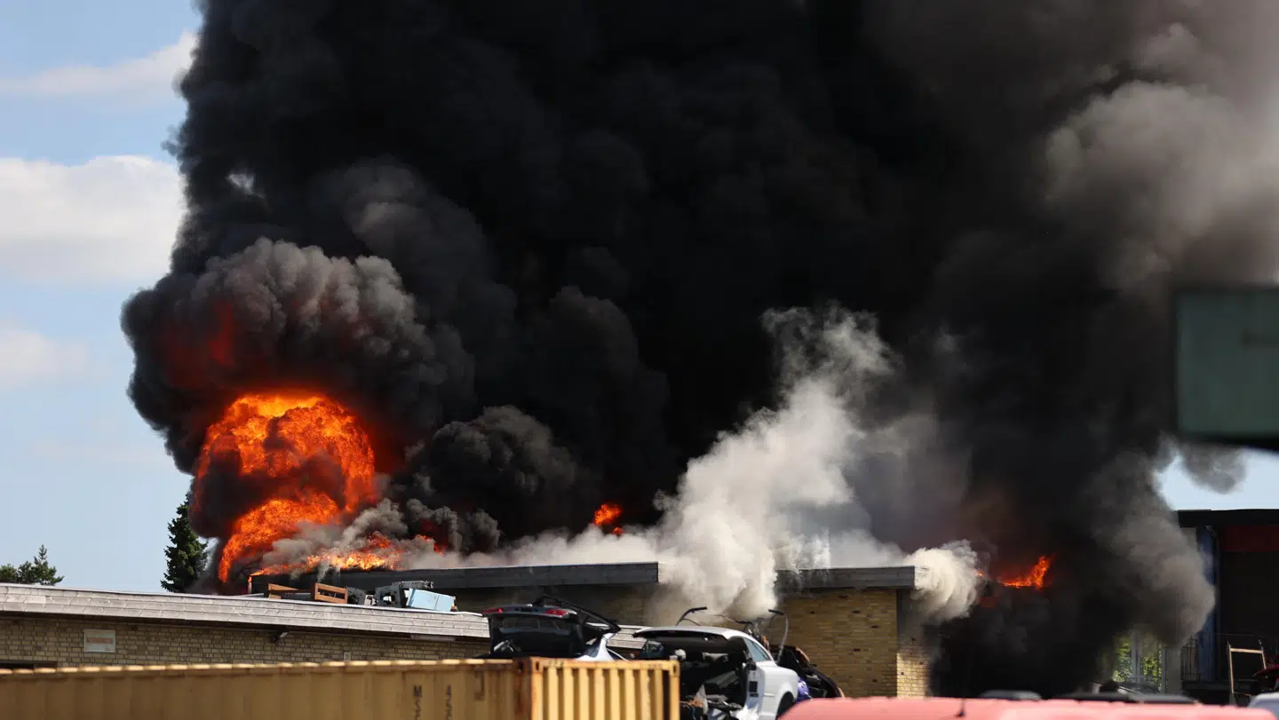 Foto: Byrd / Steven Knap.