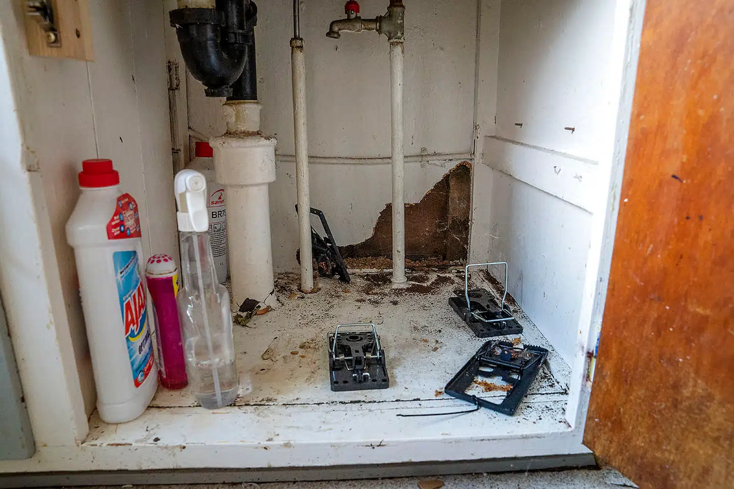 Lejerne i huset i Store Merløse fortæller, at de kæmper med skadedyr. Her er det et køkkenskab i en pt. ubeboet lejlighed.