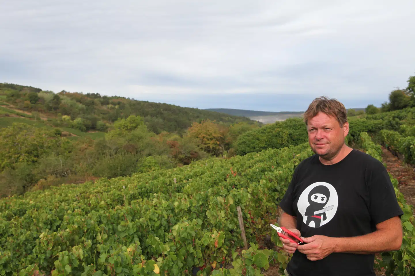 Thomas Dam er en dansk nanovinproducent i Bourgogne og Rhône, som laver bare 3.500 flasker årligt, men er til stede på restauranter som Geranium og AOC.