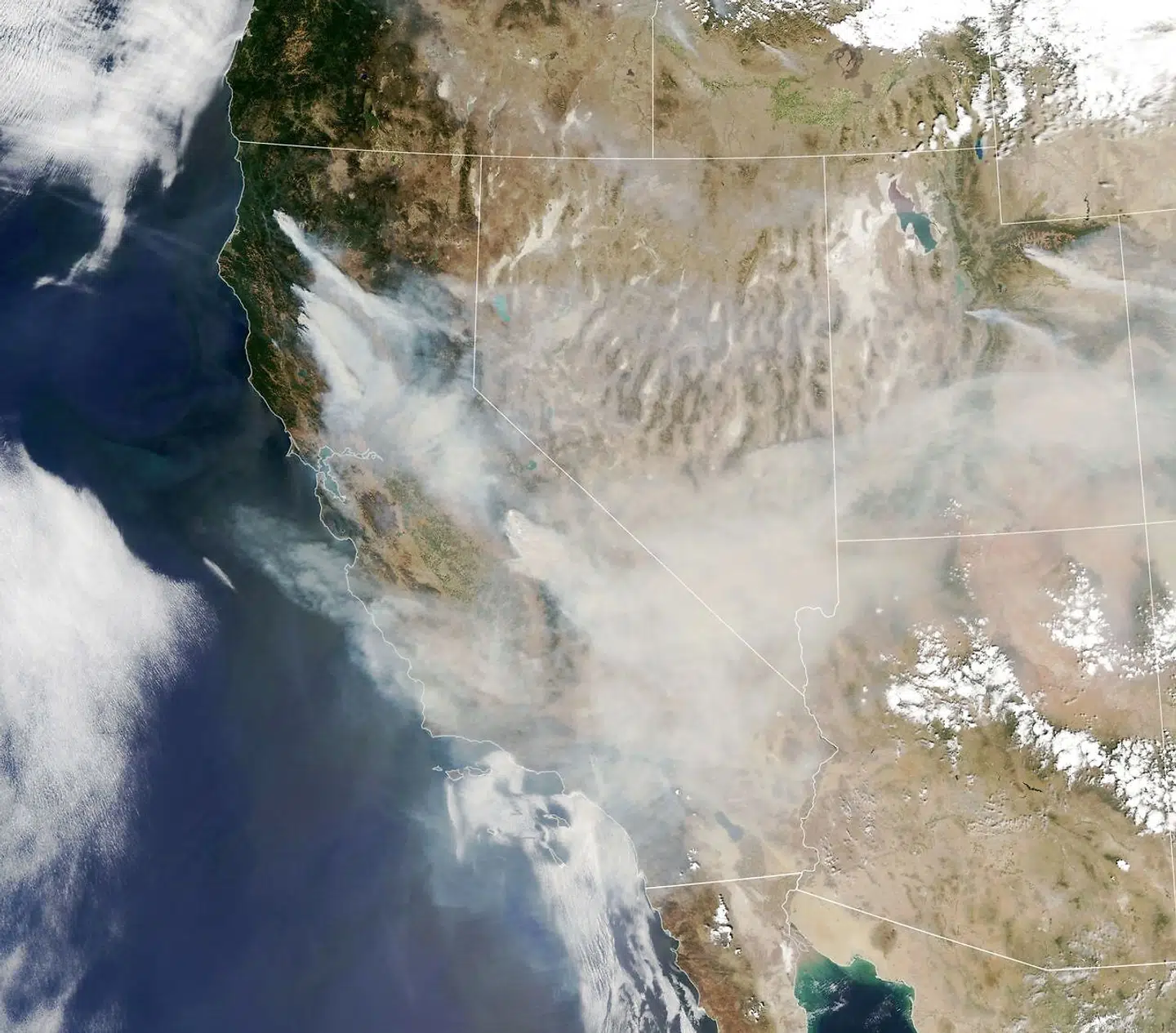 Det vestlige USA er hårdt ramt af brande. På satellitbilleder kan man se, hvordan flere af brandene er så enorme, at de trækker store skyer efter sig.