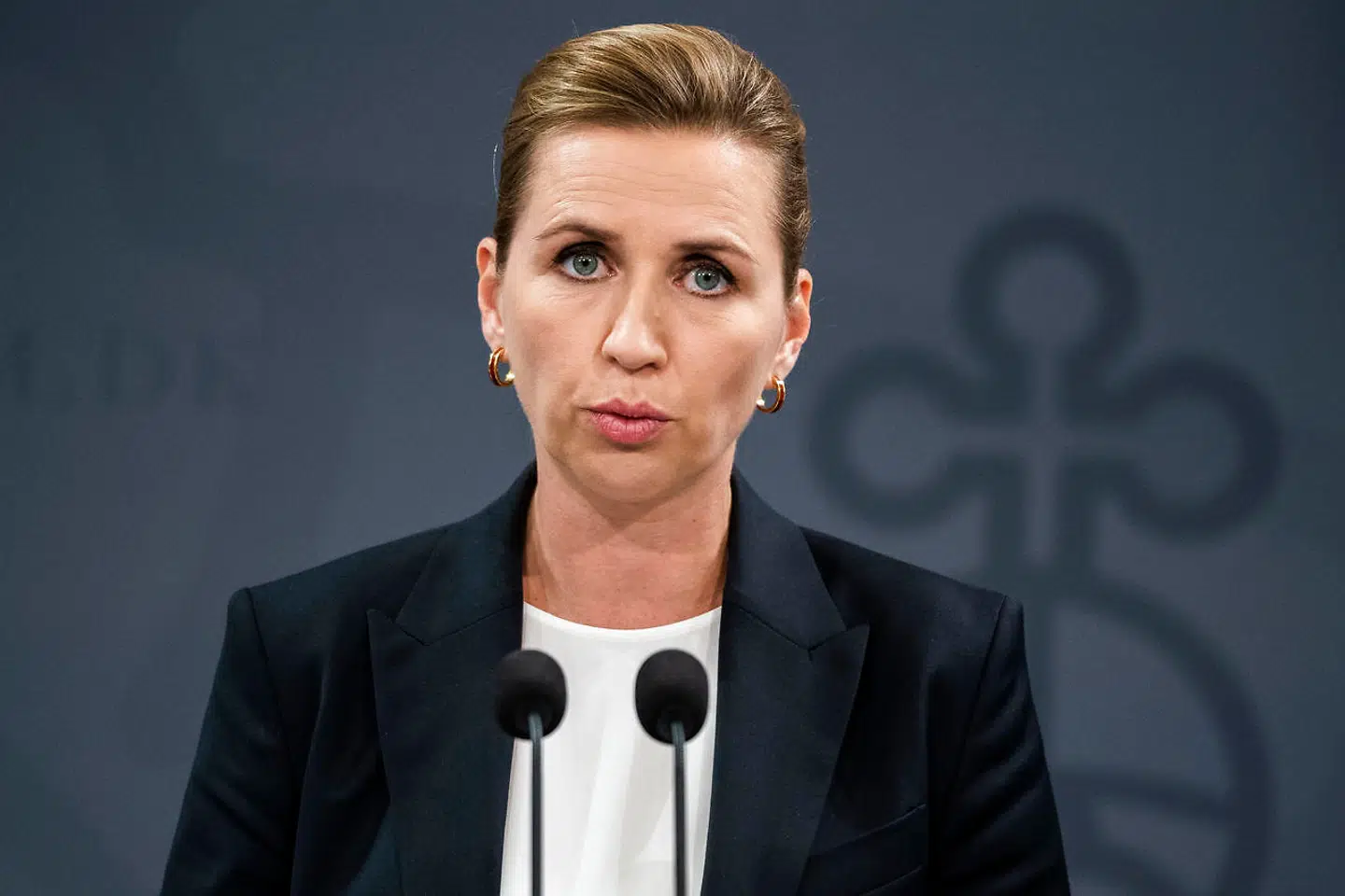 Statsminister Mette Frederiksen (S) på seneste pressemøde i Statsminiseriet. (Foto: Martin Sylvest/Ritzau Scanpix 2020)