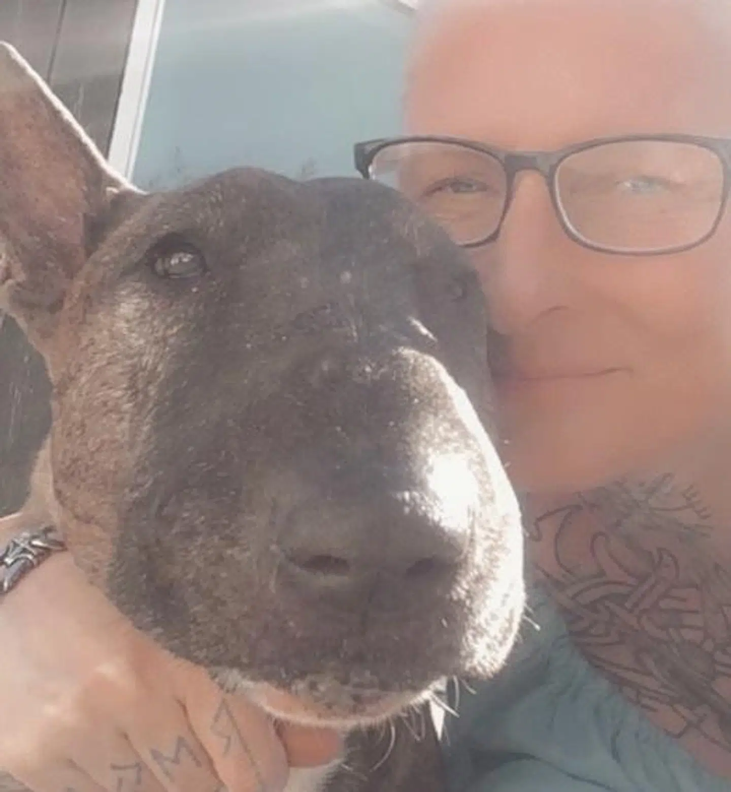 Her ses Ollie med sin ejer Jannie Kjær, da han stadig var i live.