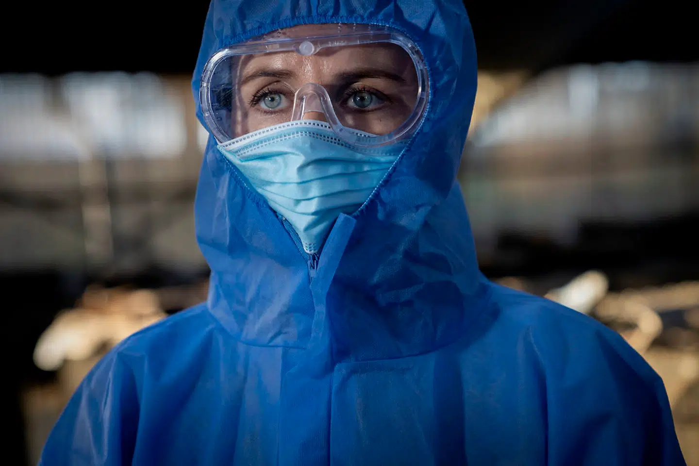 Operation Mink blev sat i gang efter et pressemøde afholdt af statsminister Mette Frederiksen, hvor hun sagde: »Alle mink skal aflives.«