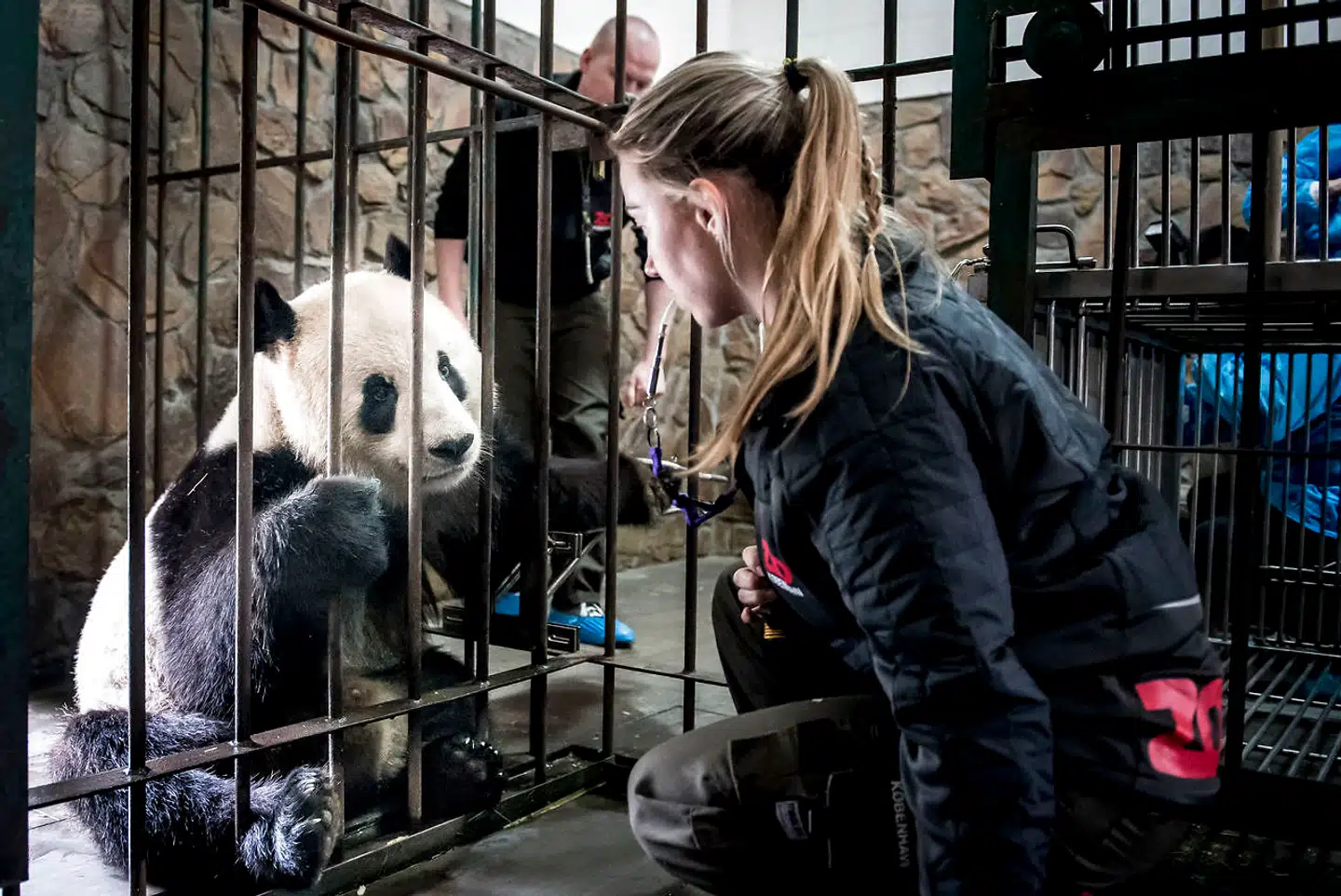 Aftalen om at udlåne to pandaer fra Kina til Zoologiske Have i København blev et symbolsk højdepunkt i forholdet mellem de to lande. Siden er det gået hastigt ned ad bakke.