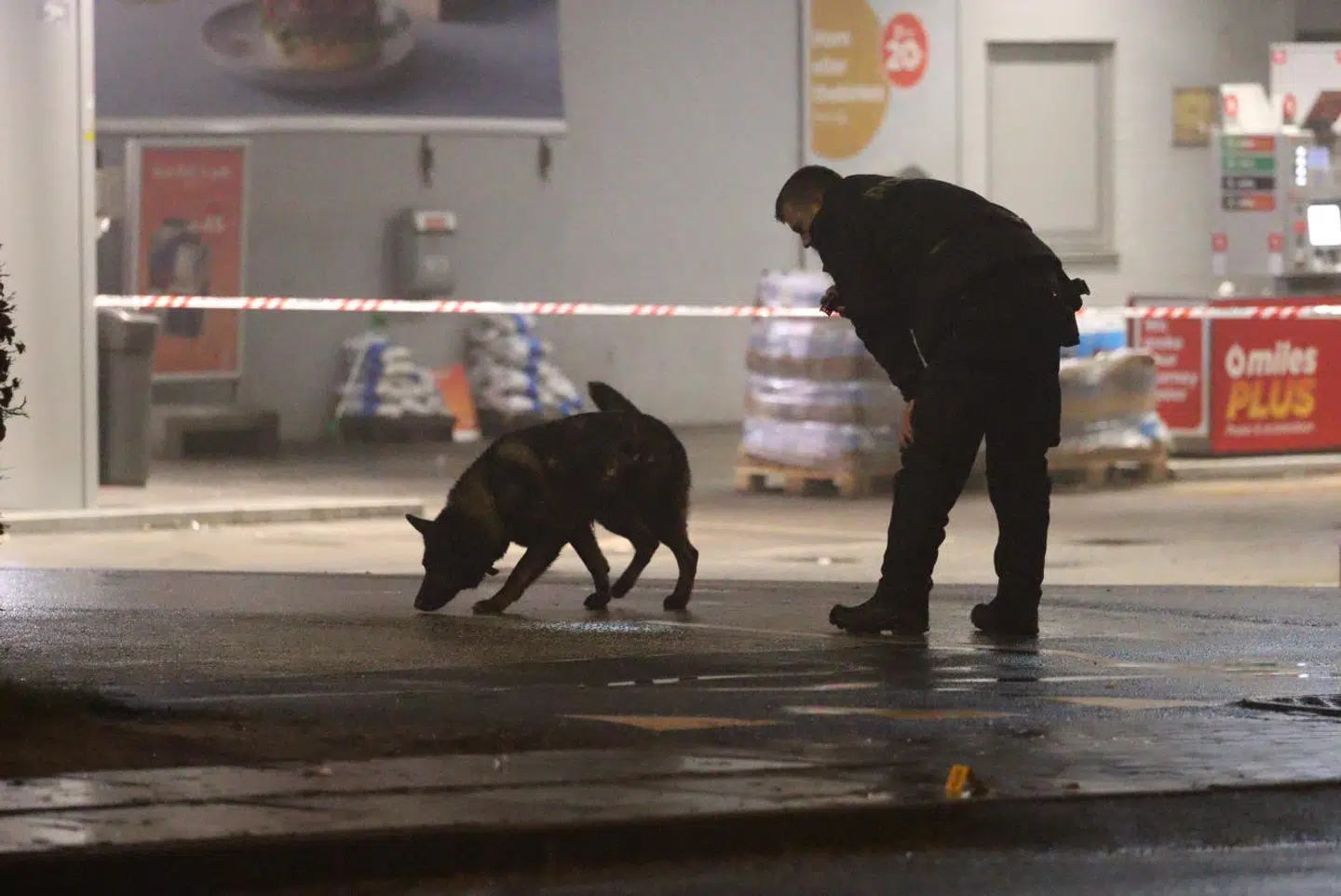 Undersøgelser ved tankstationen