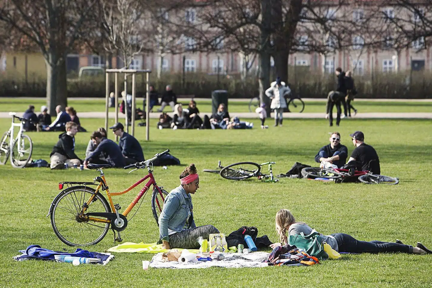 »Lad mig derfor som borger i København og bruger af samtlige trafikformer tale fodgængernes sag. (...) Under en af mine mange løbeture i Kongens Have (hvor cykling er forbudt) blev jeg en dag forsætligt forsøgt kørt ned af en cyklist, der mente, at jeg løb i den forkerte side af stien,« skriver Michael Eisenberg.