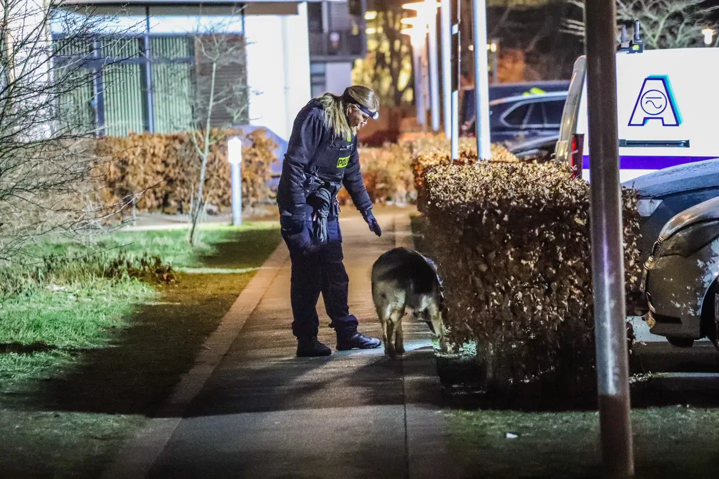 Politiet har fortsat deres undersøgelser i Gyngemosen, efter at beboerne er vendt hjem.