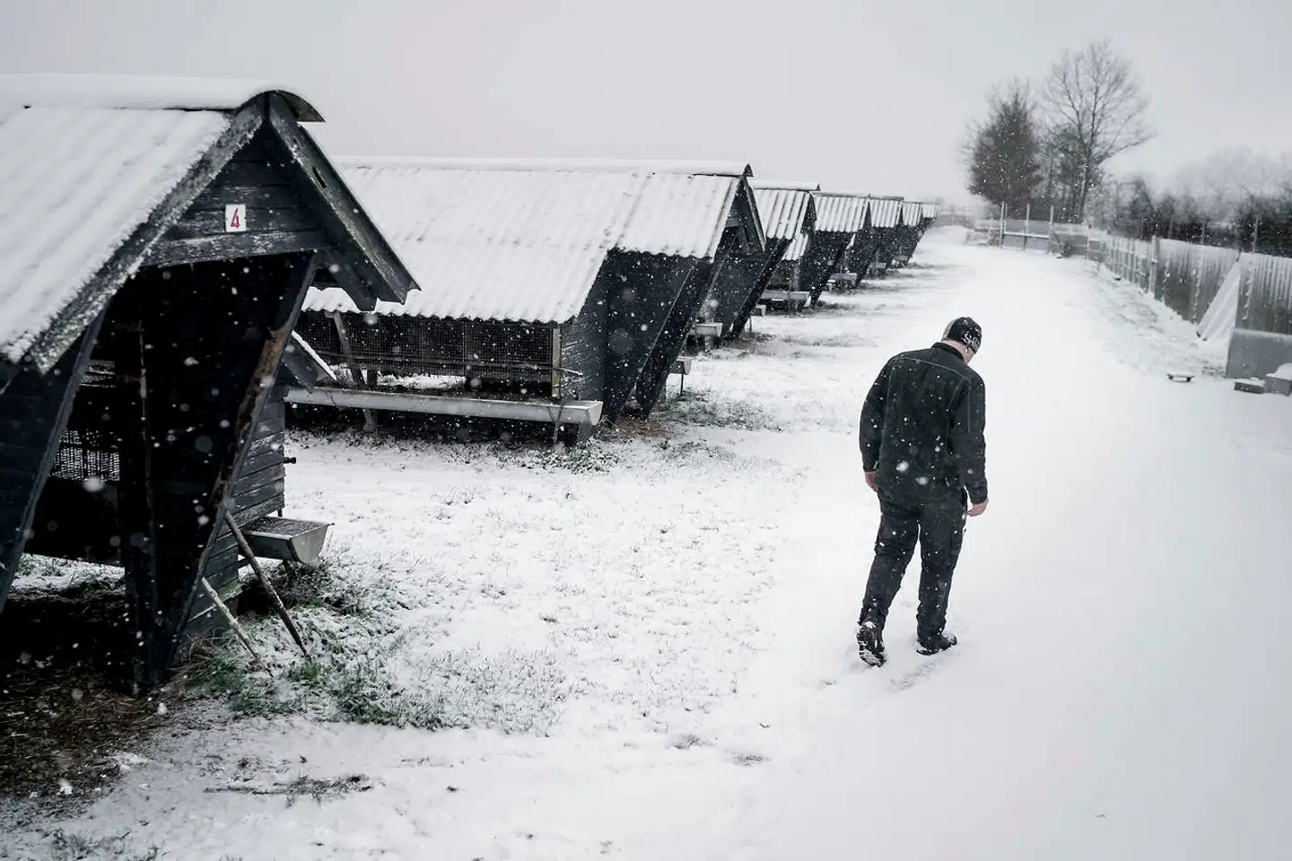 Martin From fra Ringe på Fyn er blandt de minkavlere, der måtte aflive samtlige mink. Martin From aflivede på få dage mere end 68.000 mink.