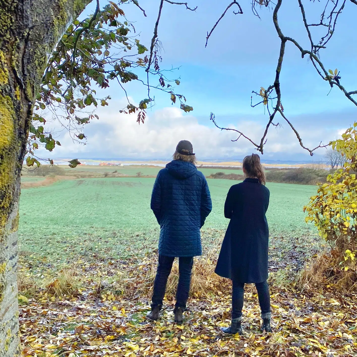 Rune har tilknytning til øen  og har altid drømt om at flytte hertil som pensionist.