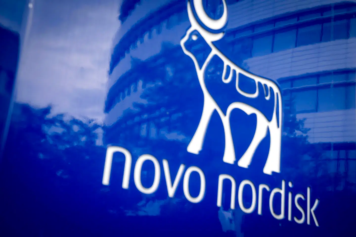 Novo Nordisk ser ud til at have ramt en guldåre med fedmemedicinen Wegovy.
