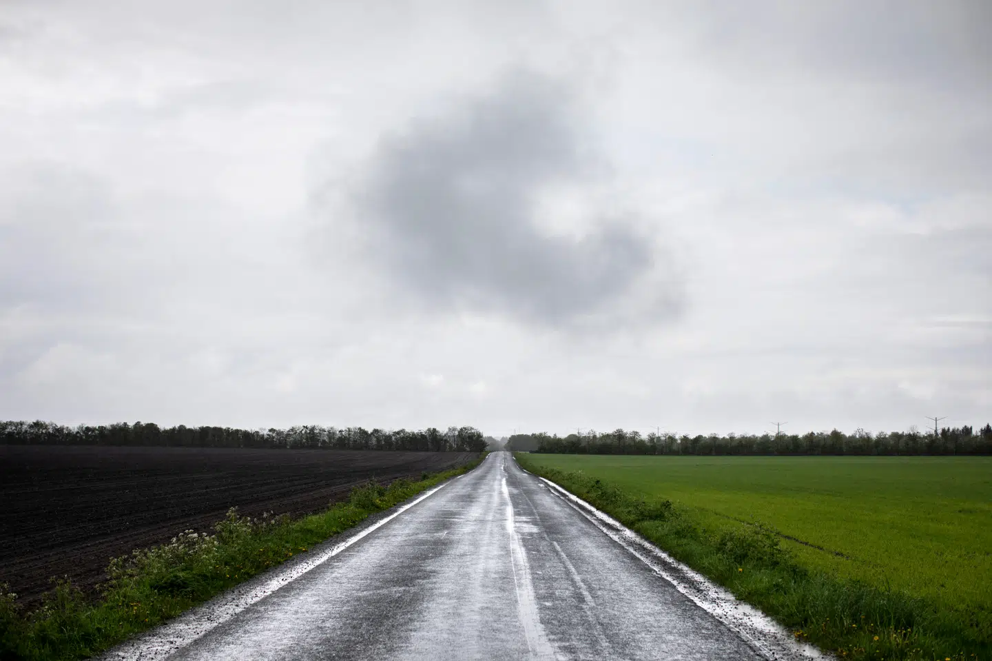 Foto: Tor Birk Trads