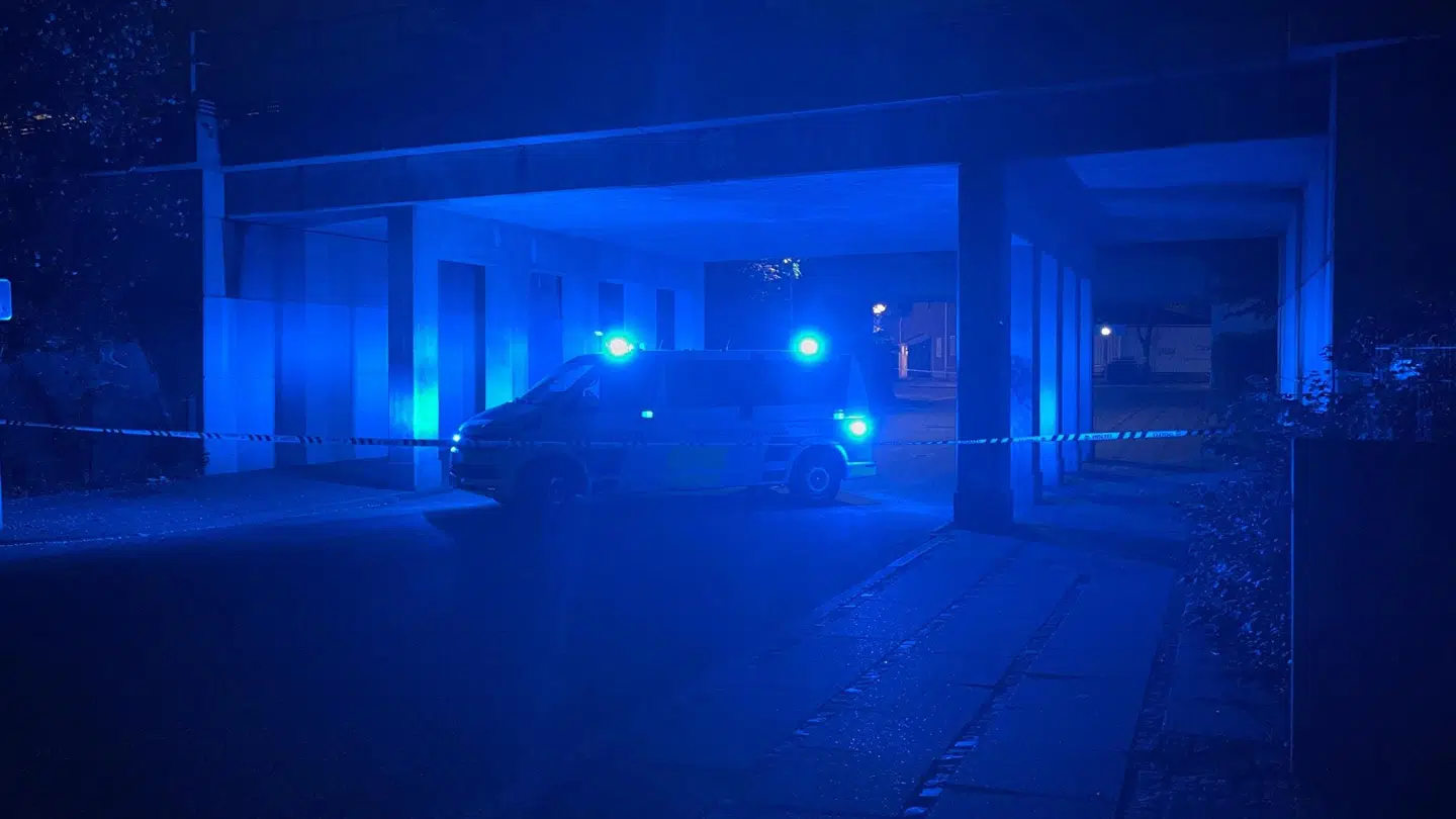 En 19-årig mand blev lørdag formiddag dræbt af mindst tre personer.