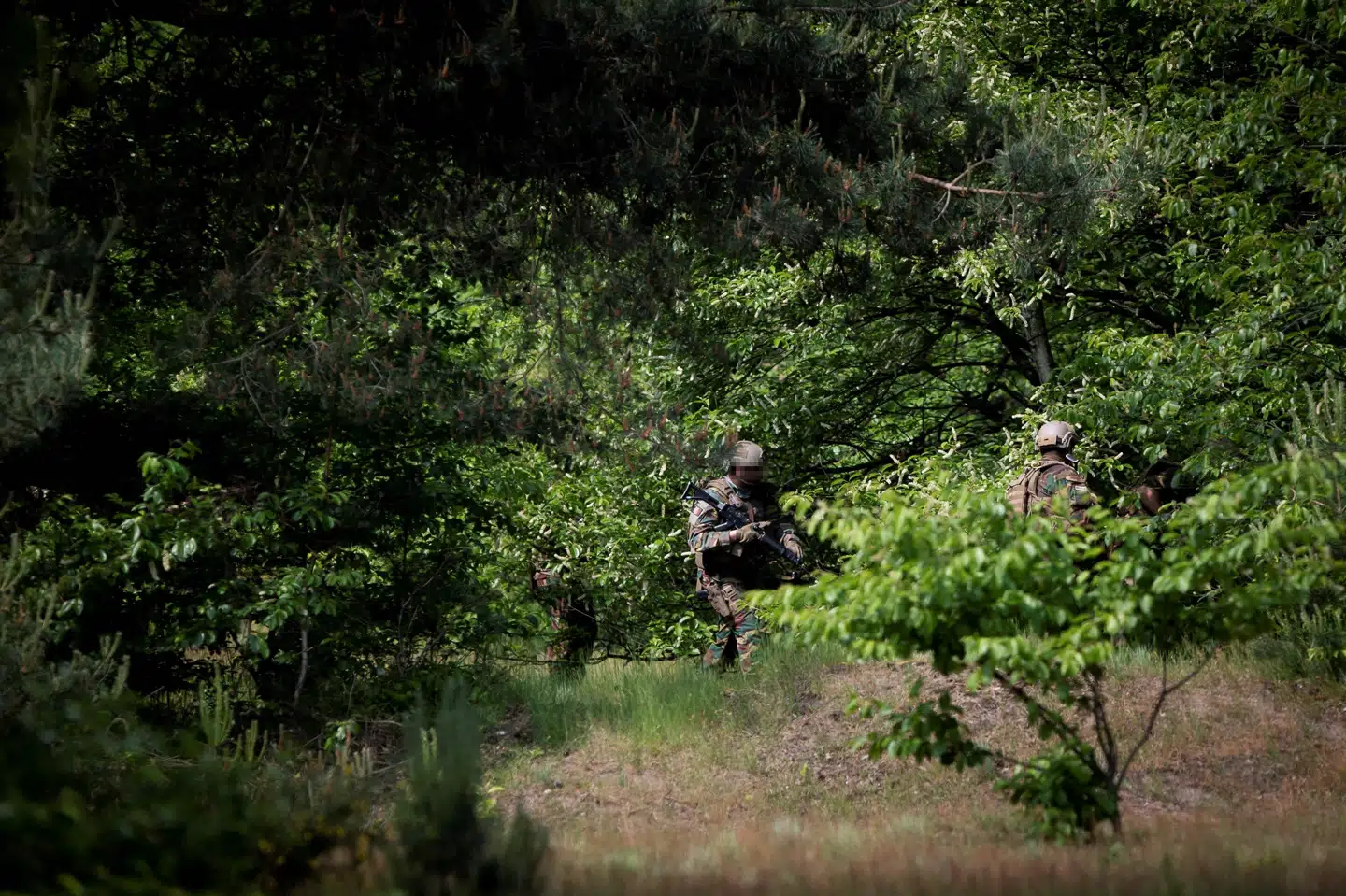 Soldater i nationalparken Hoge Kempen leder efter den højreorienterede soldat, der forsvandt, og som myndighederne frygtede ville begå drab eller attentater. Soldaten meldes nu død. Billedet er fra den 4. juni. Kristof Van Accom/Ritzau Scanpix