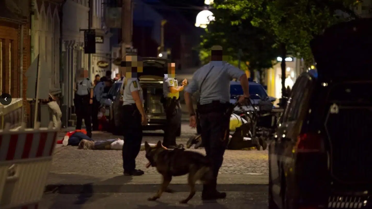 Politiet måtte have hundepatruljen ud på stedet for at skabe ro.