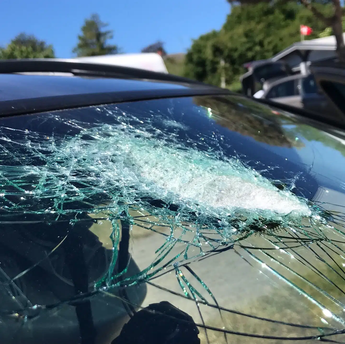 Her ses forruden på en af de danske biler, der er blevet ramt af sten på E65 nær afkørslen til byen Rynge. Billedet er taget af bilisten og delt med Berlingske.