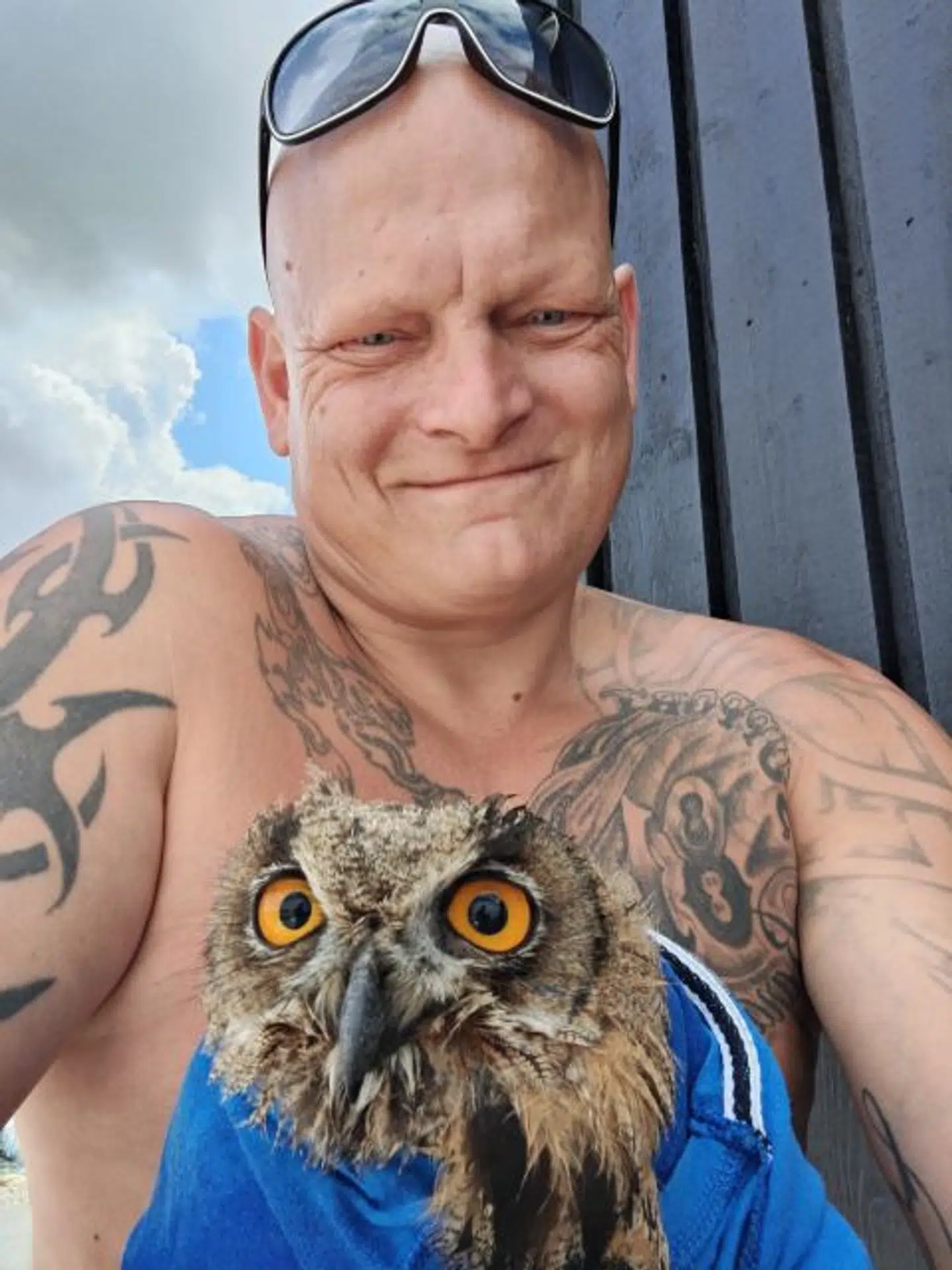 Jimmy Hansen smed tøjet og hoppede ud efter uglen, da den blev angrebet af måger