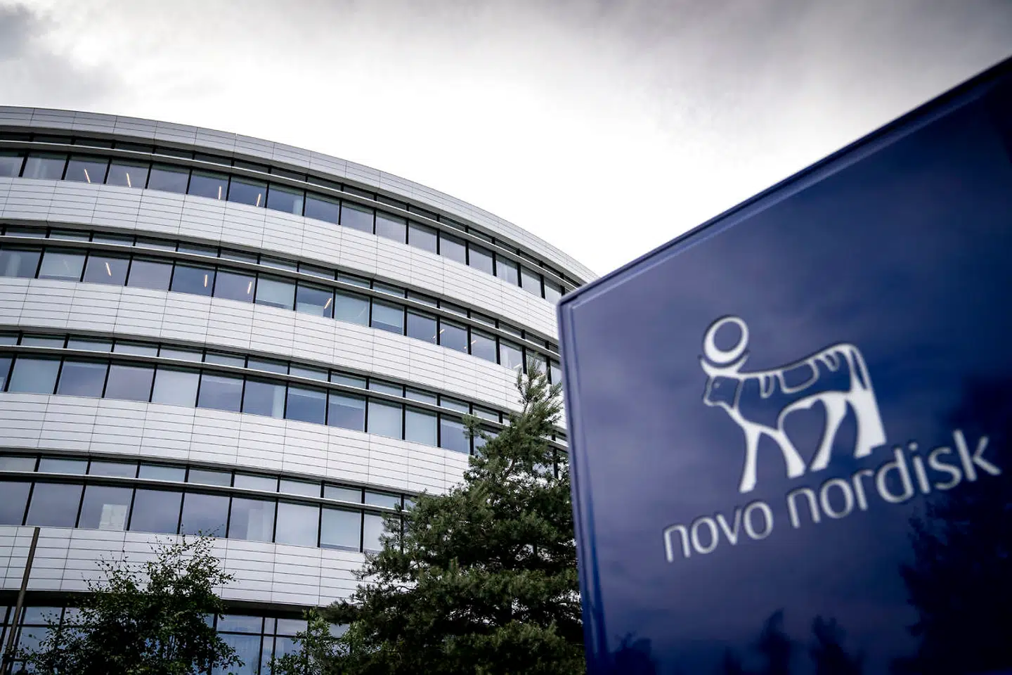 Siden årsskiftet er Novo-aktien fløjet til vejrs med 46,5 procent til den højeste kurs nogensinde.