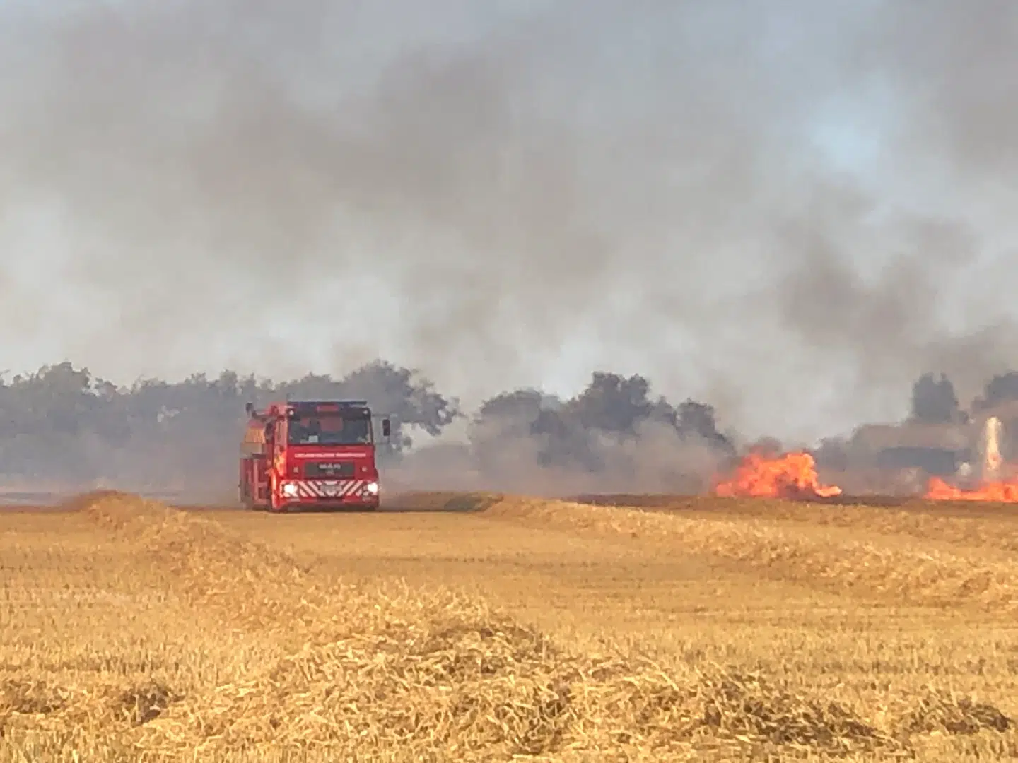 Sådan ser det ud i Rødbyhavn.