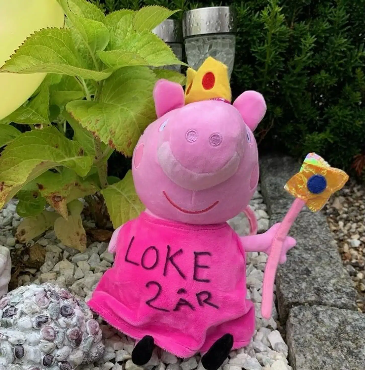 Lotte Vinkel har oplevet mange gange, at folk har stjålet fra hendes søns grav. Det er faktisk drivkraften bag hendes borgerforslag, der skal gøre det lovligt at beholde asken.
