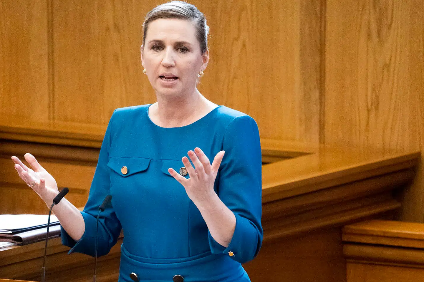 Det er ikke hverdag, at sortspætten bliver nævnt i en åbningstale i Folketinget af en statsminister. Men det gjorde den tirsdag af Mette Frederiksen (S).