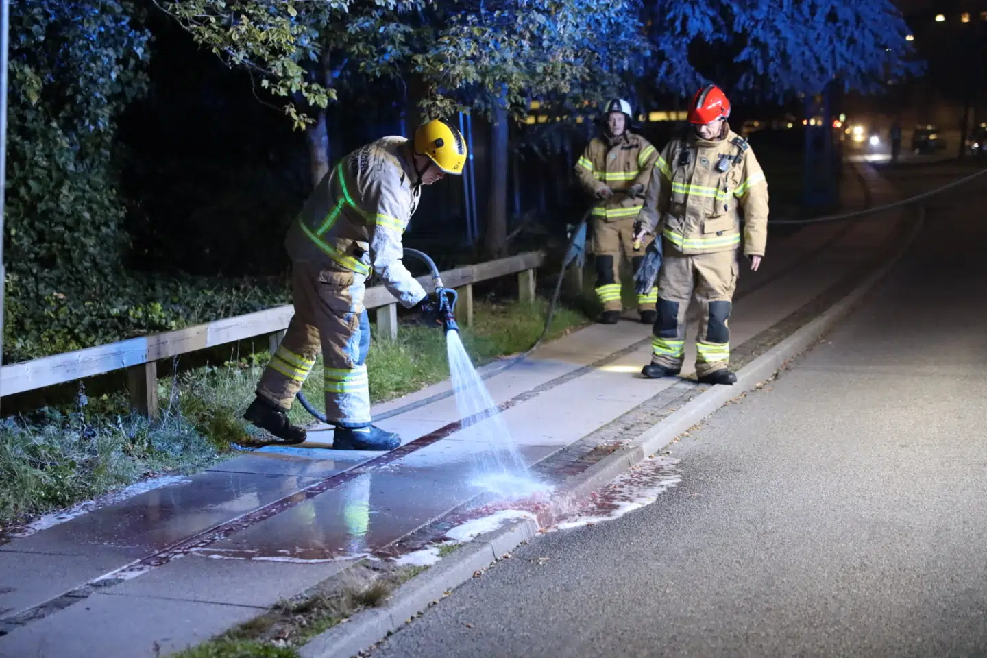 Foto: Presse-fotos.dk