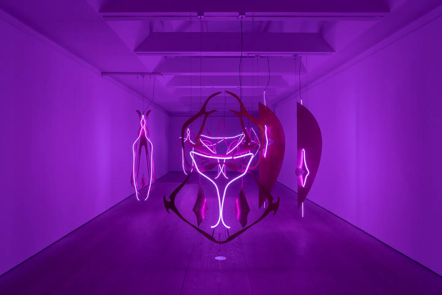 Astrid Myntekær udstiller på Gammel Strand - og den udstilling ledsages af insekter på Kulturnatten.