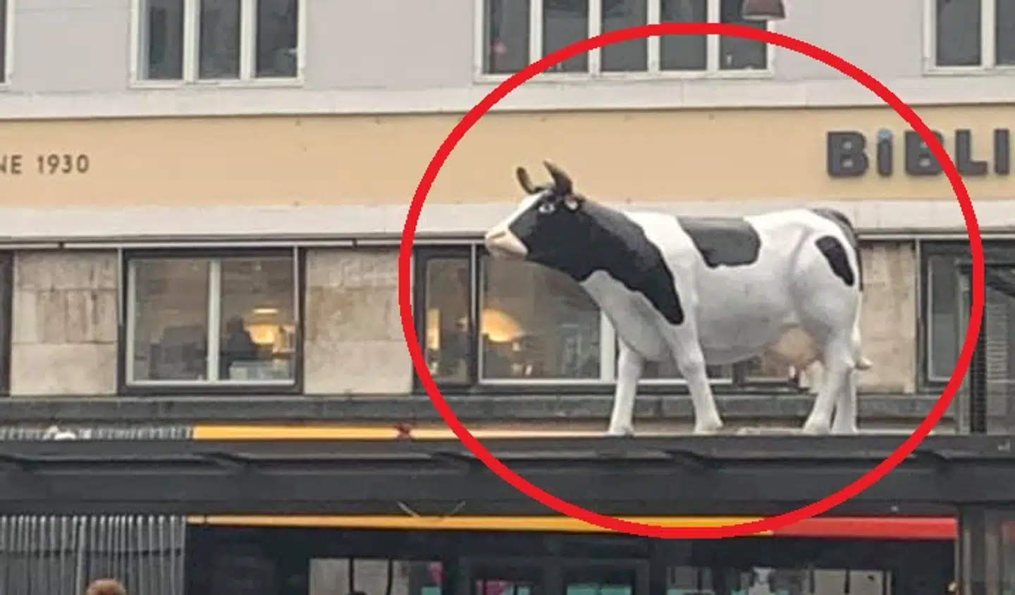 Koen står på Christianshavns Torv.Foto: Chanell Nielsen