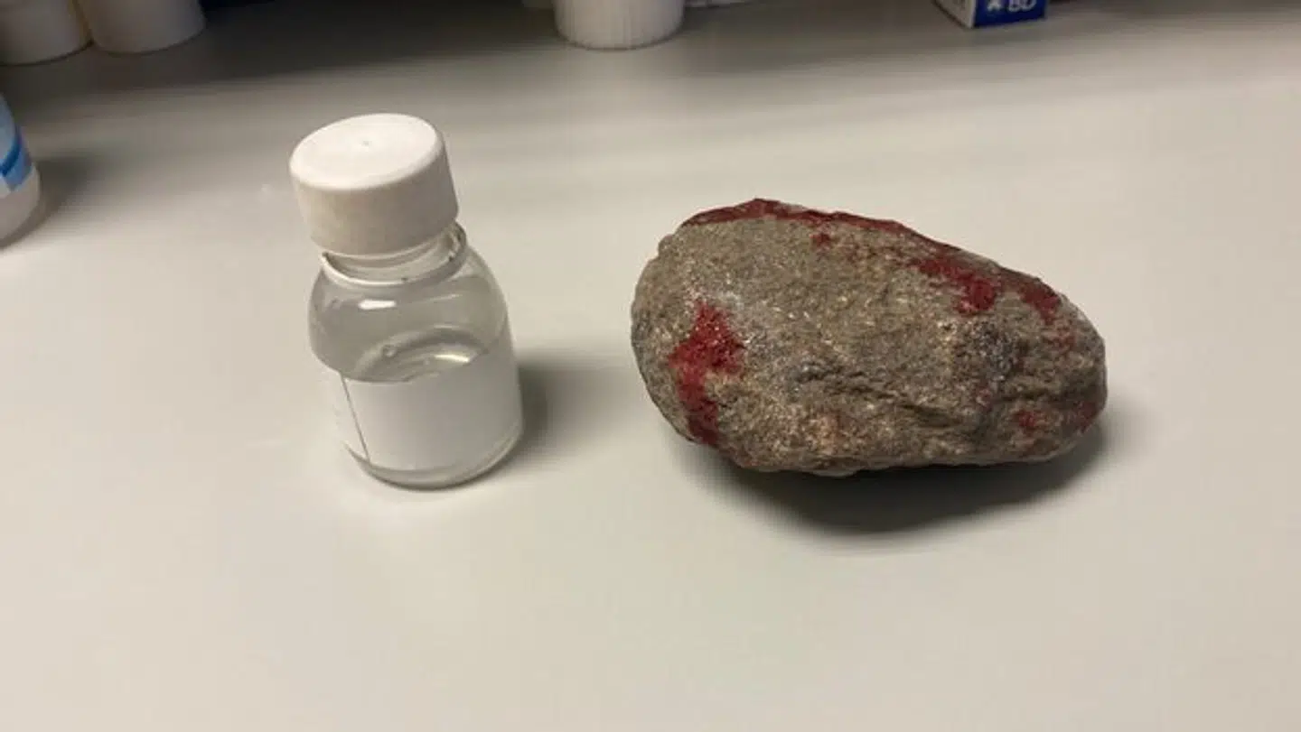 Her ses den sten, der ramte Steen Riber ved øjet.