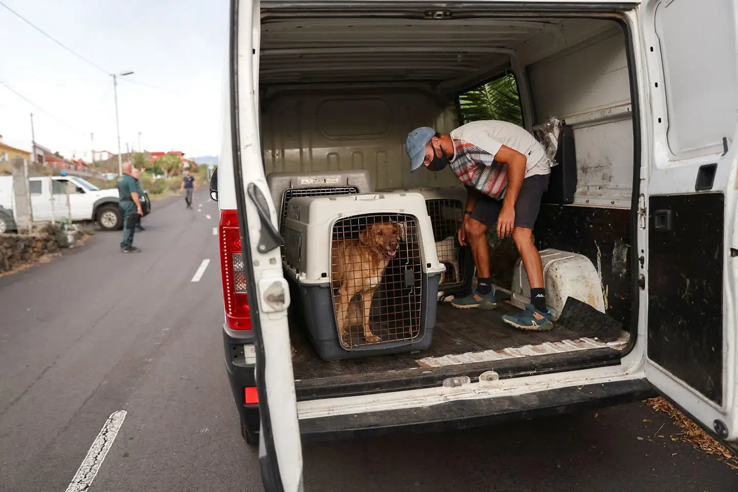 Hunde bliver evakueret sammen med deres ejere under de første uger af vulkanudbruddet på La Palma.