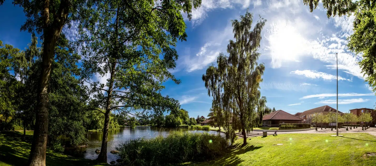 En 17-årig pige har anmeldt et forsøg på voldtægt på en grussti bag Mølleparkens Plejecenter i Sønderborg.