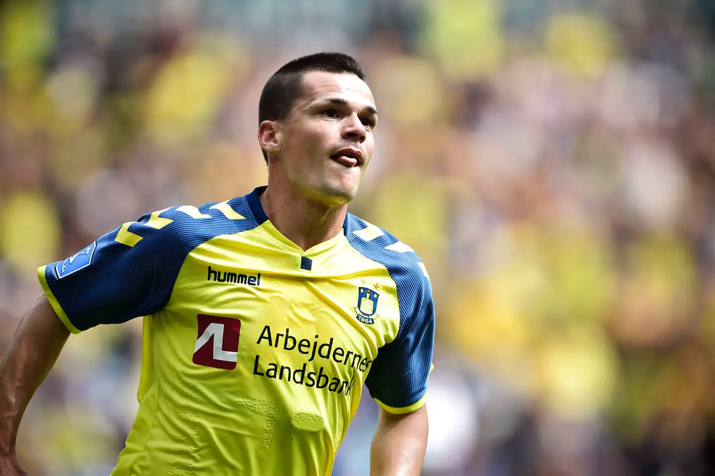 Ante Erceg er ny angriber i Brøndby.