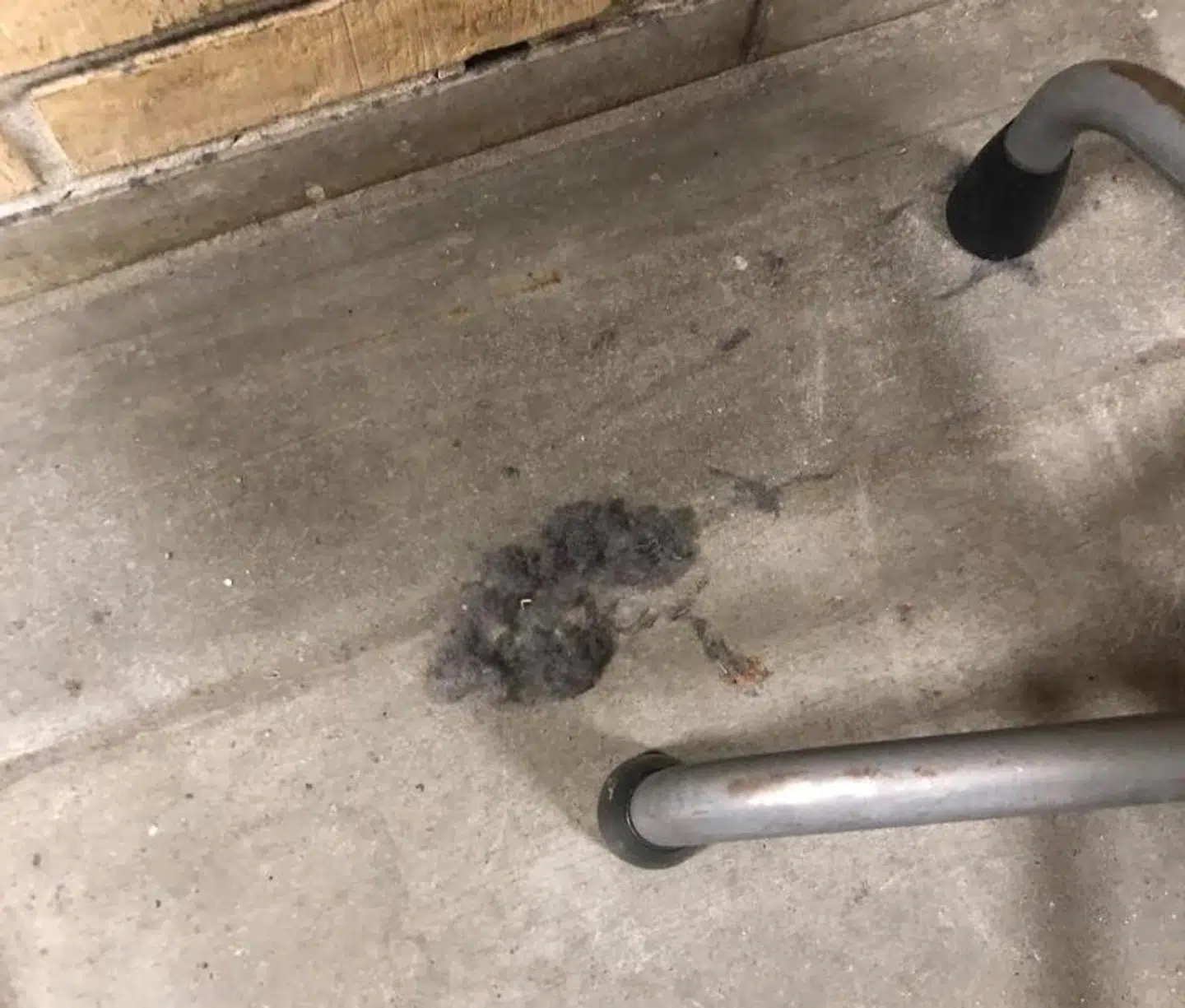 Her har en forælder taget et billede af store nullermænd og støv i klasselokalet.