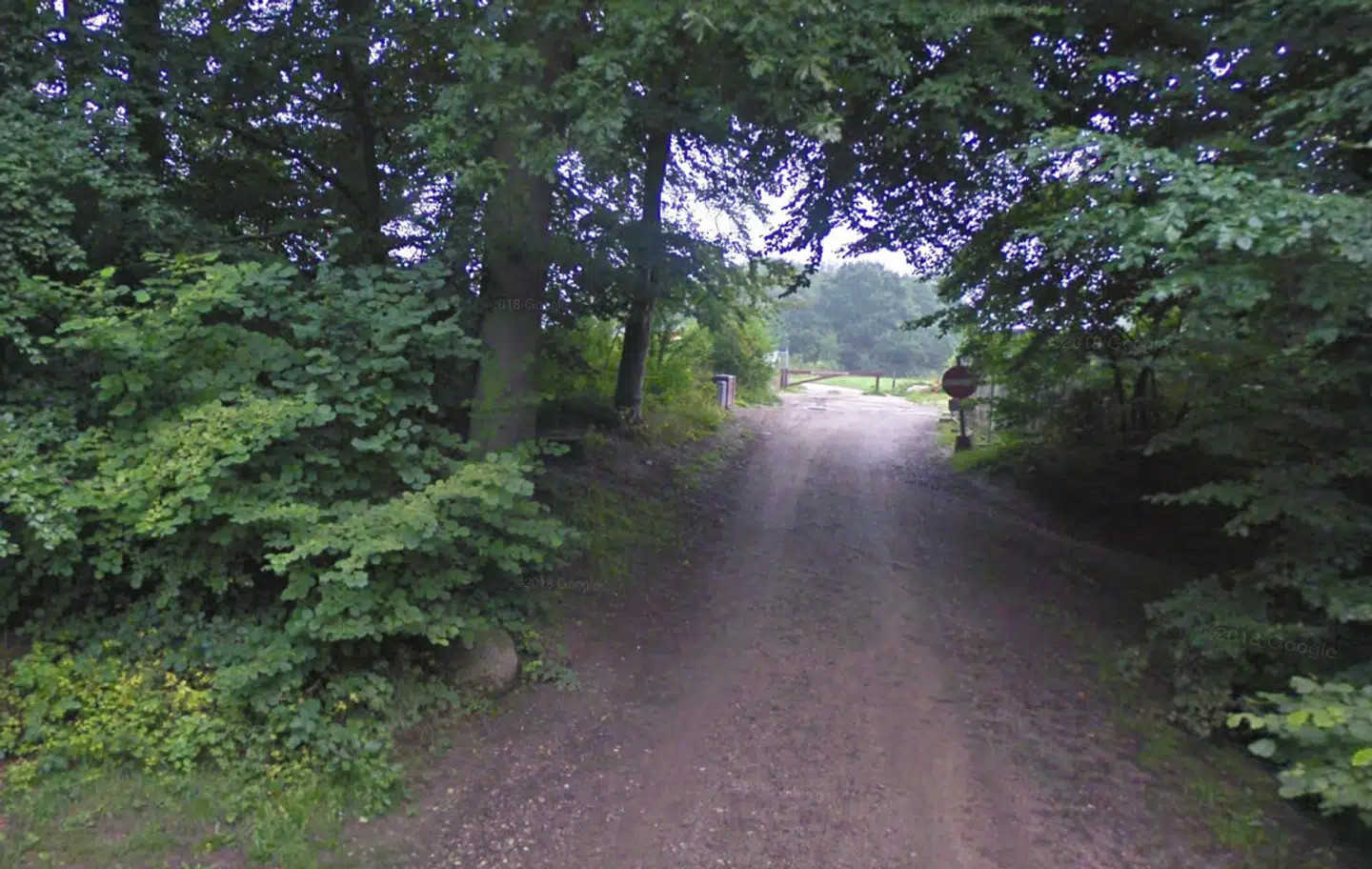 Skovområdet Hørhaven i Aarhus-forstaden Højbjerg.