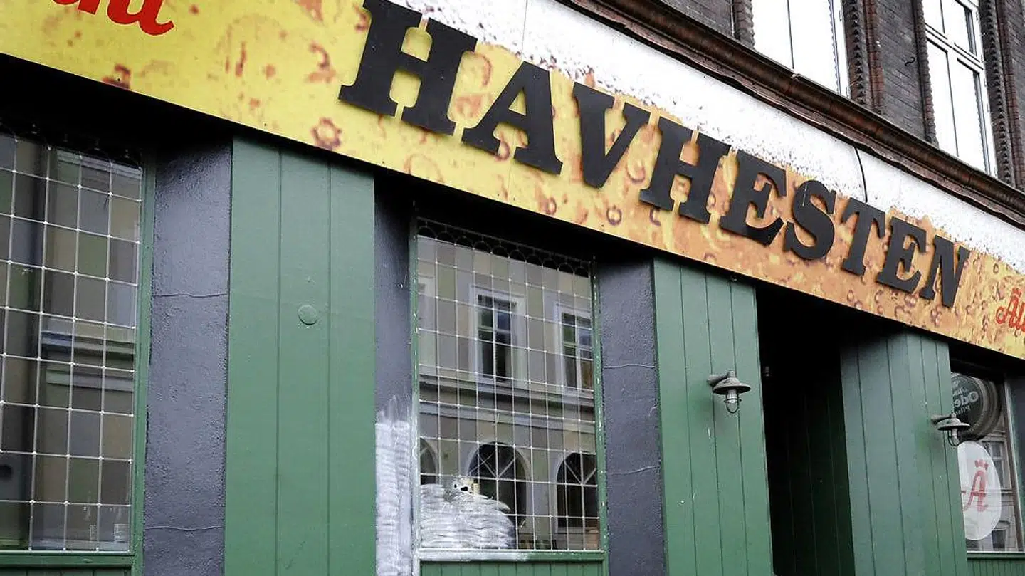 Skudhullerne i vinduet ses her under Havhestens logo. Arkivfoto.