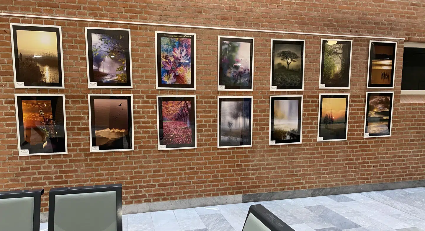 Steen Nilssons udstilling på Sjællands Universitetshospital i Køge, hvor Alexander Arntsens billede hænger.