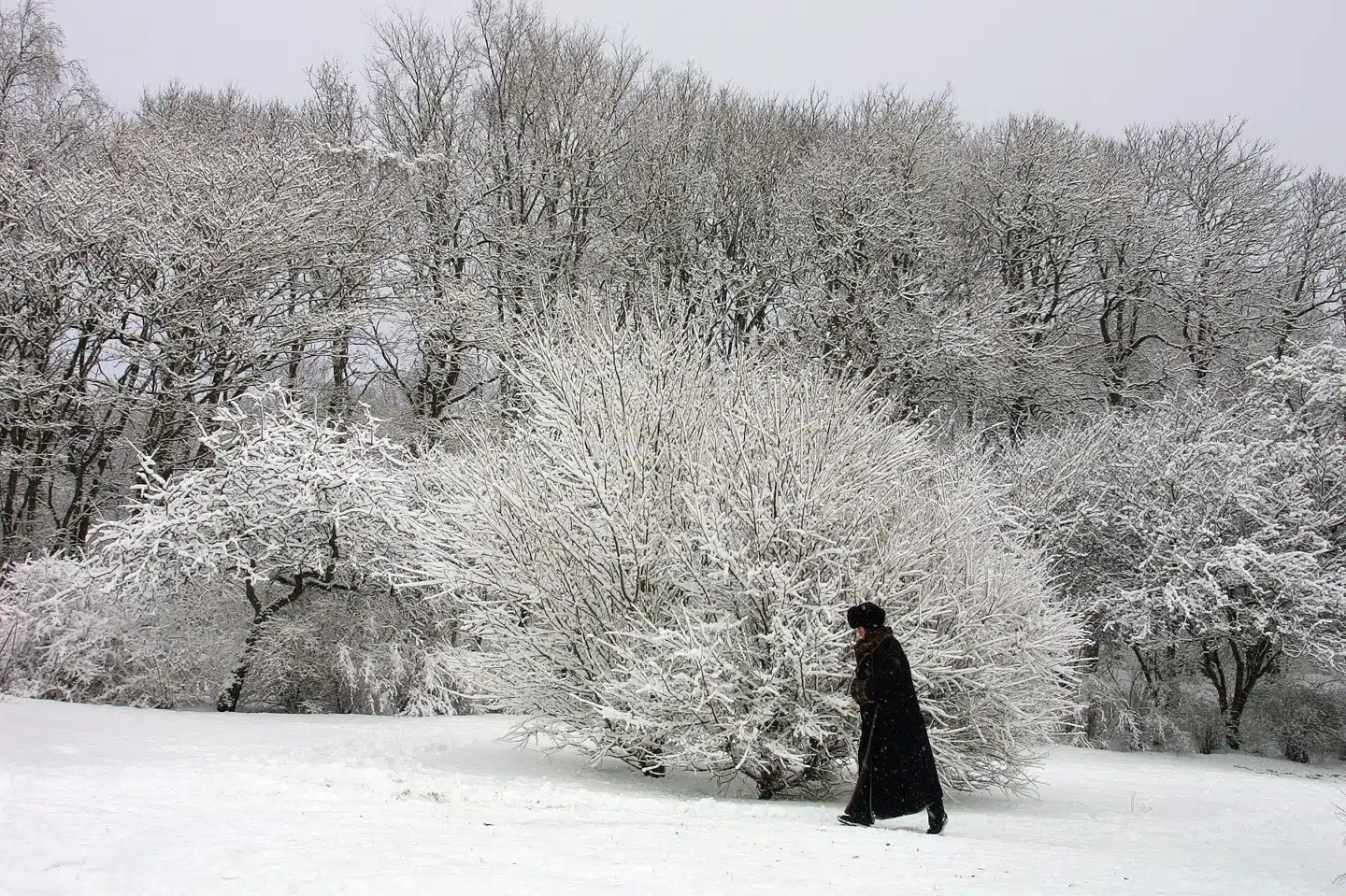 Får vi en landsdækkende hvid jul, vil det være første gang siden 2010. (Arkivfoto) Henning Bagger/Ritzau Scanpix