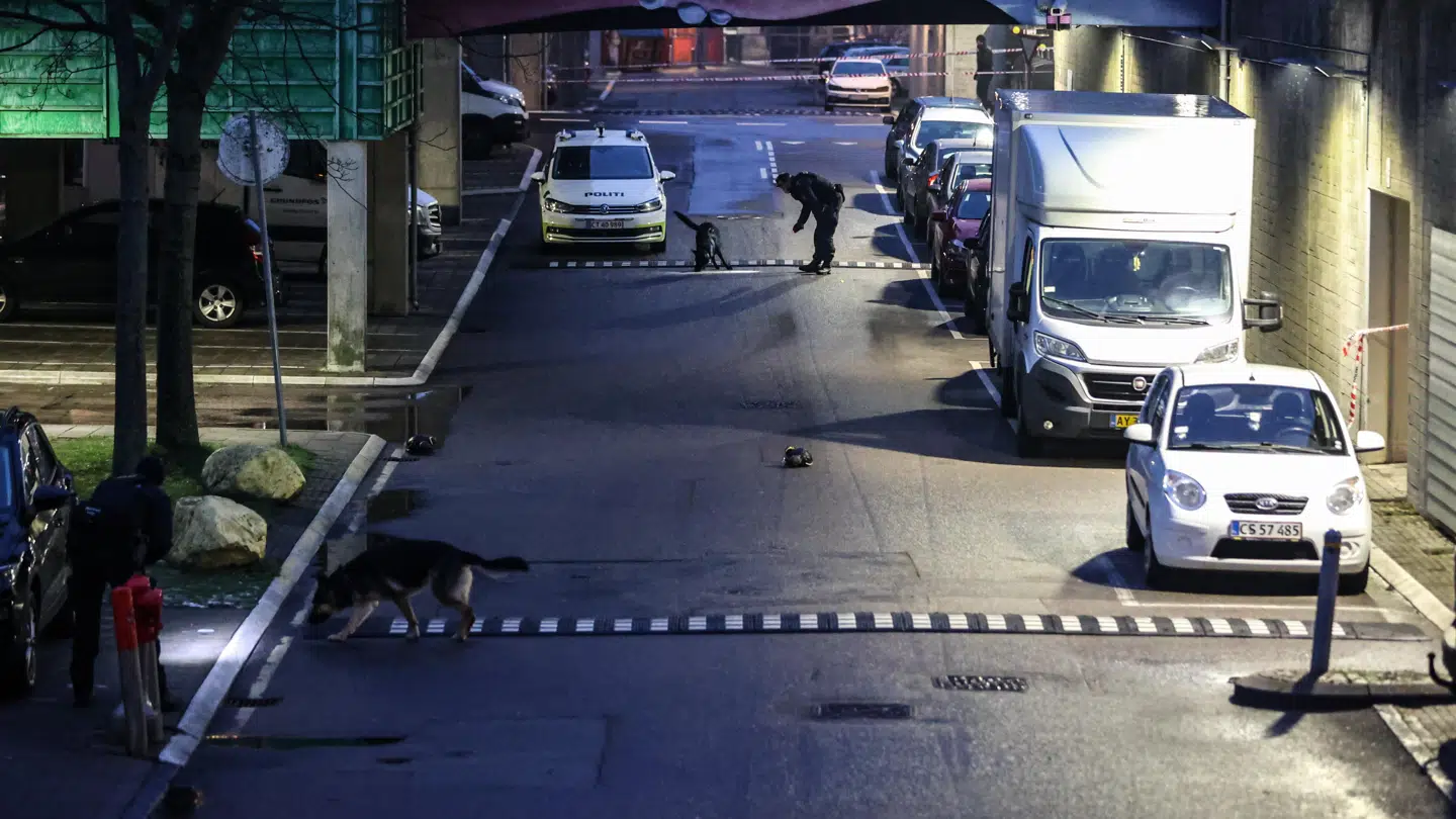 Der blev blandt andet ledt med hunde.