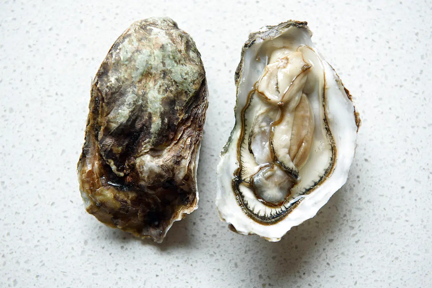 Bretagneøsters, str. 4