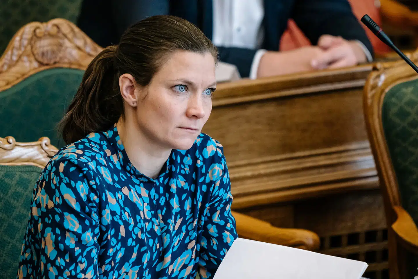 »Vi hverken kan eller vil lægge stemmer til at ødelægge tingene for de ildsjæle, der har lavet en lille Steinerbørnehave eller en naturinstitution på landet,« skriver børneordfører Lotte Rod.