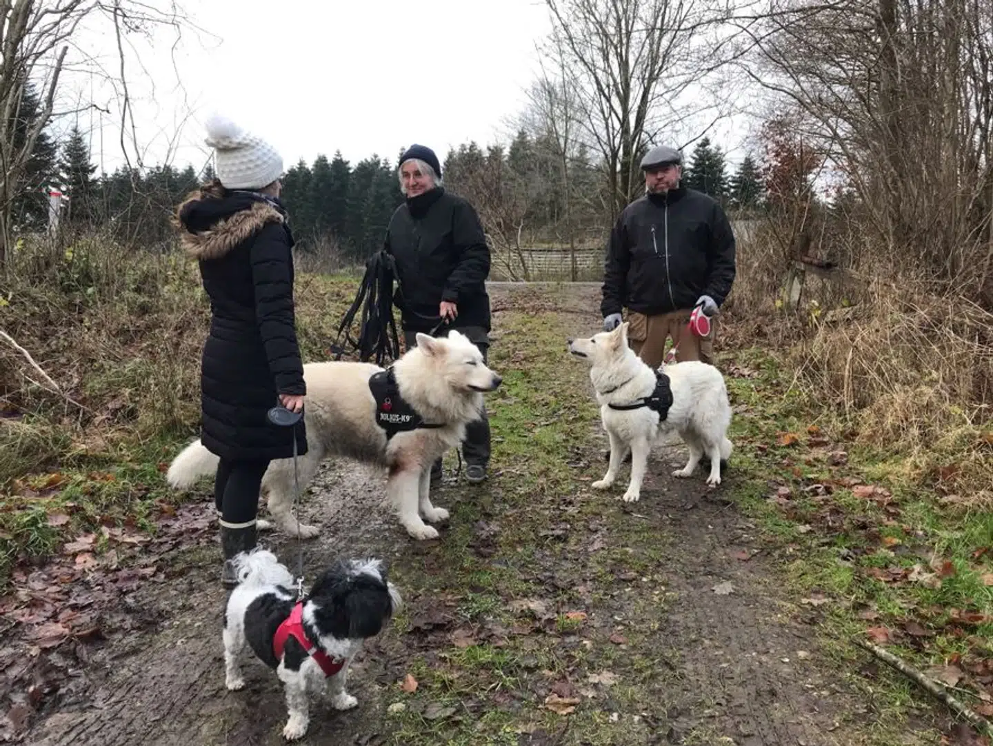 På Billedet ses Joan Mechlenborg og Tonny Wartau Nielsen, som er på tur med de tre hunde Plet, Sirius og Lucy, samt datteren Julie, som mistede Diana.