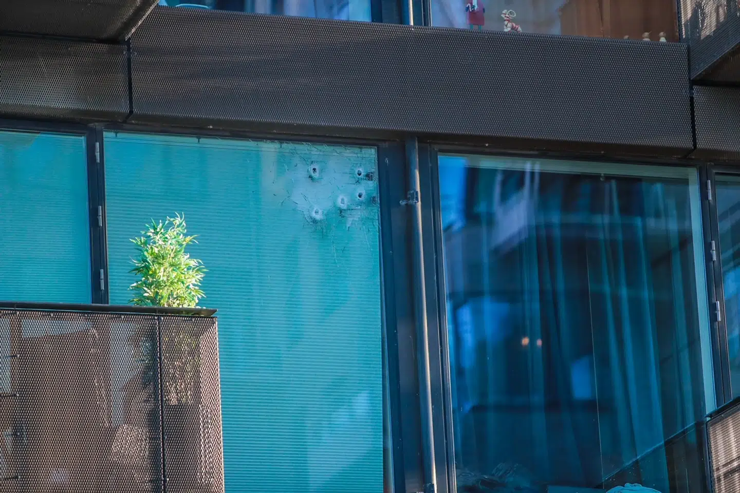 Foto: Presse-fotos.dk