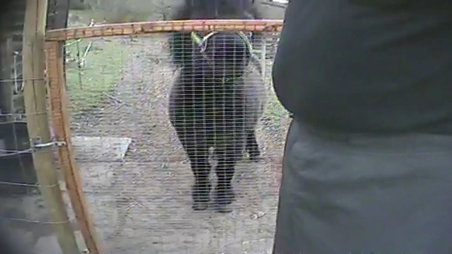 Her kan du se et screendump fra en skjult optagelse fra programmet.