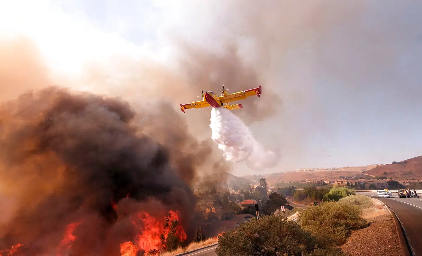 Et fly forsøger at stoppe en brand, inden den når en befærdet vej i Californien (AP Photo/Ringo H.W. Chiu)