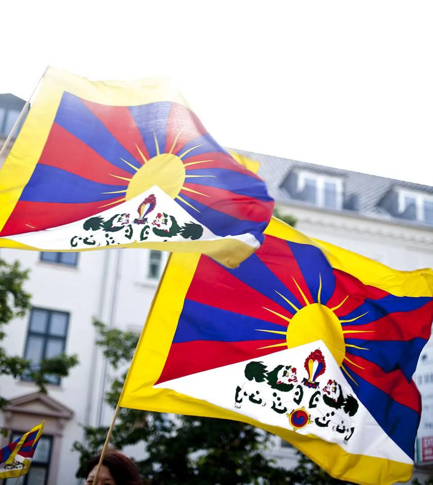 Tibetsagen handler kort fortalt om, at kritiske demonstranter under et kinesisk statsbesøg i 2012 blev gemt væk af politiet. Ligeledes konfiskerede politiet demonstranternes tibetanske flag.