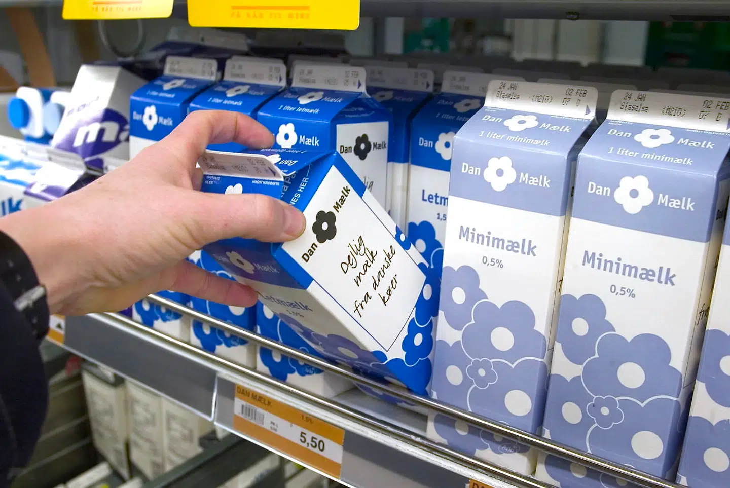 Mælkepriserne sætter rekord efter prisstigning gennem flere år.